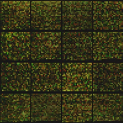multi-omics